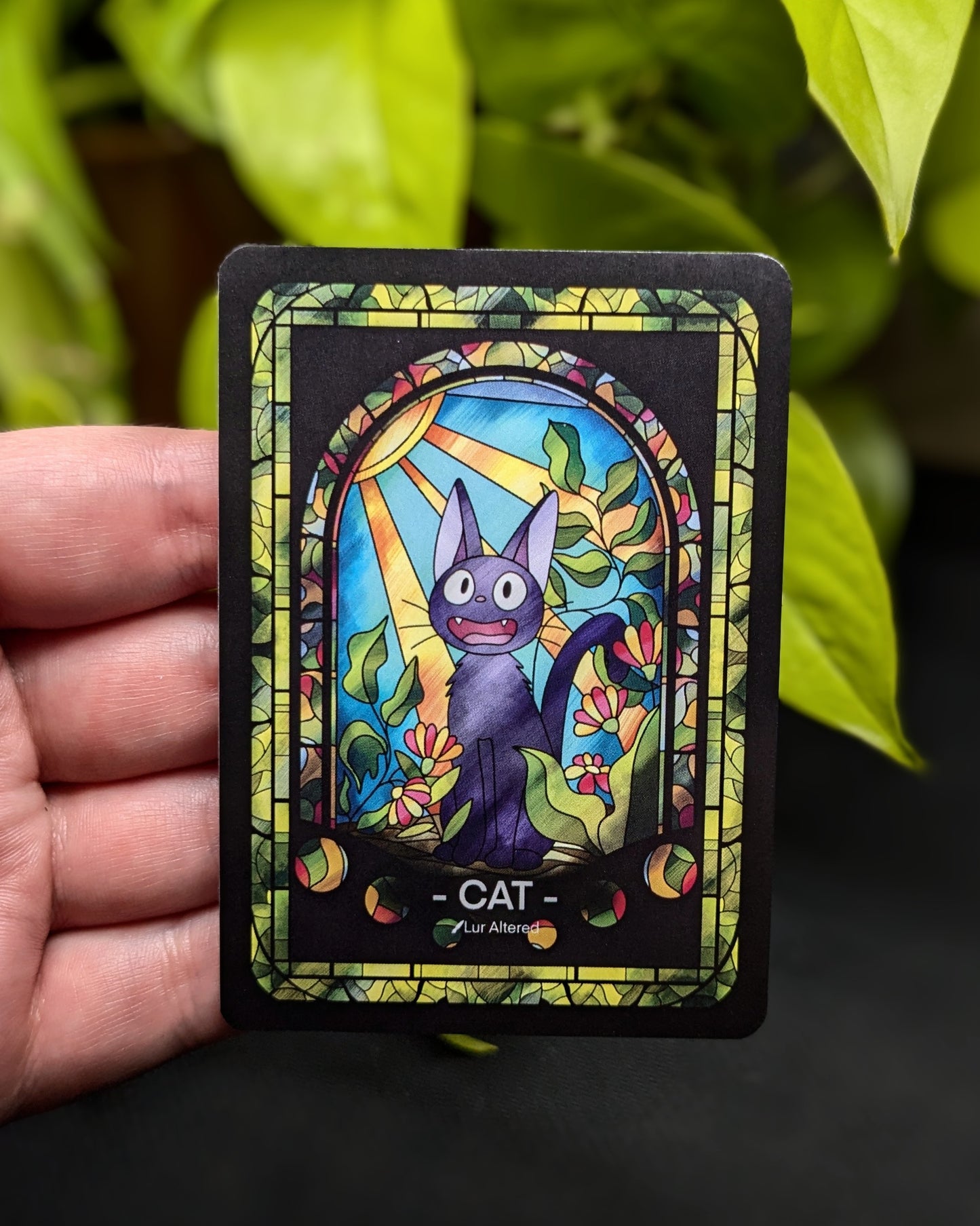 Token Cat